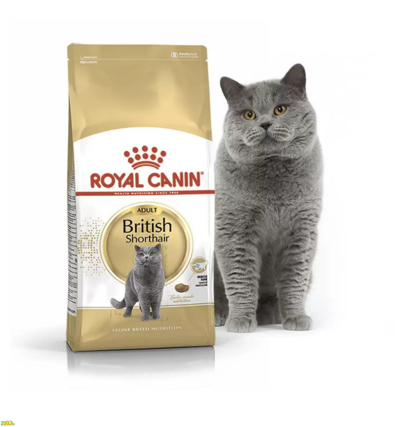 Сухой корм для кошек Британская Короткошерстная Royal Canin BRITISH SHORTHAIR ADULT 10 кг